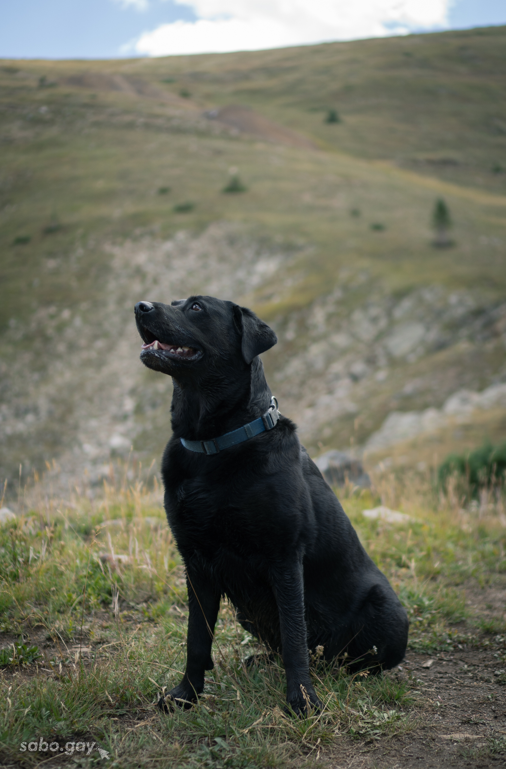 Untitled Untitled